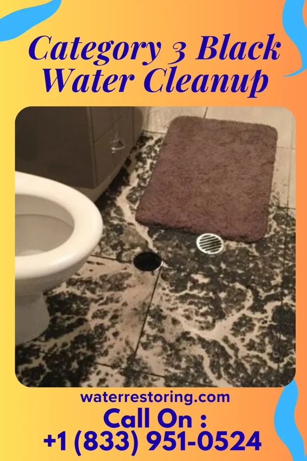 Category 3 Black Water Cleanup in The Hideout, PA